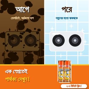 কিচেন ক্লিনার ১ পিস